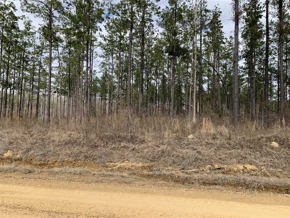 Joyner Road 80, Caldwell Parish, 80 Acres +/- Real estate listing