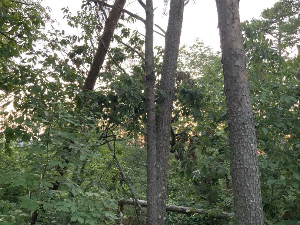 Land for sale at 0 Skyline Drive The Summit Lot 205