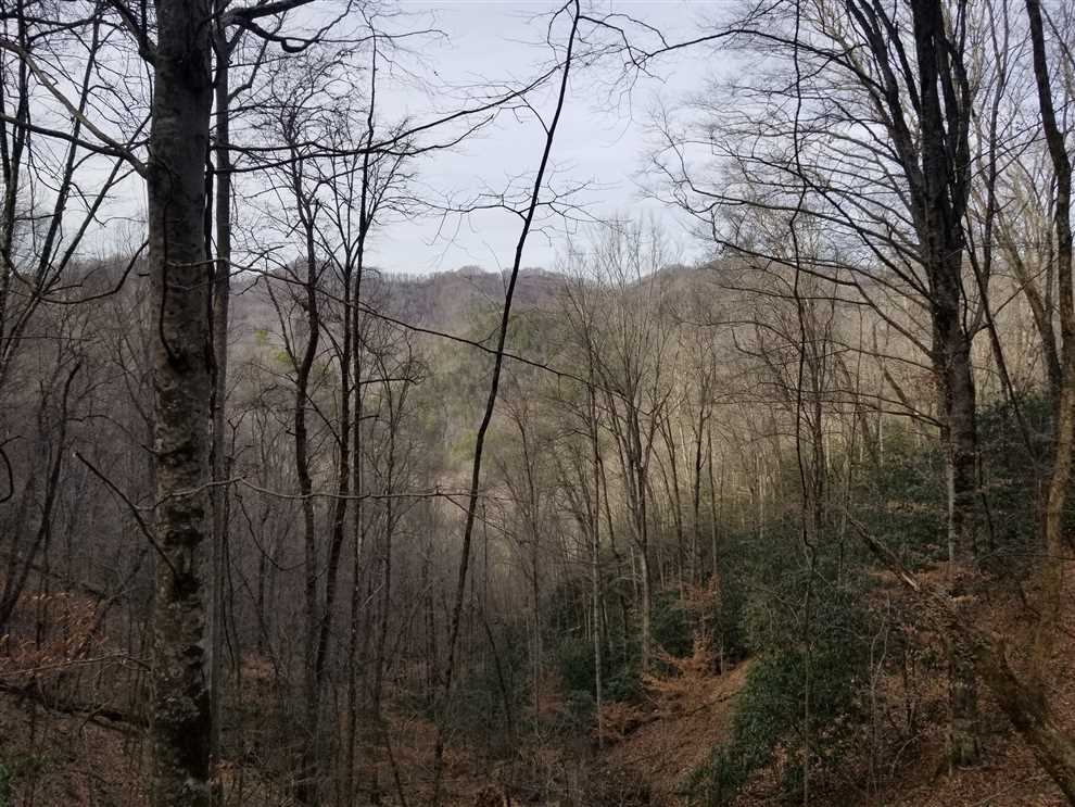 Land for sale at 00 Brush Creek