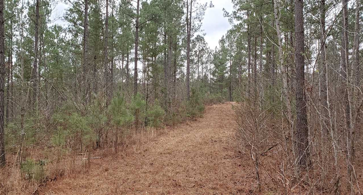 Land for sale to buy in 28020 zip code