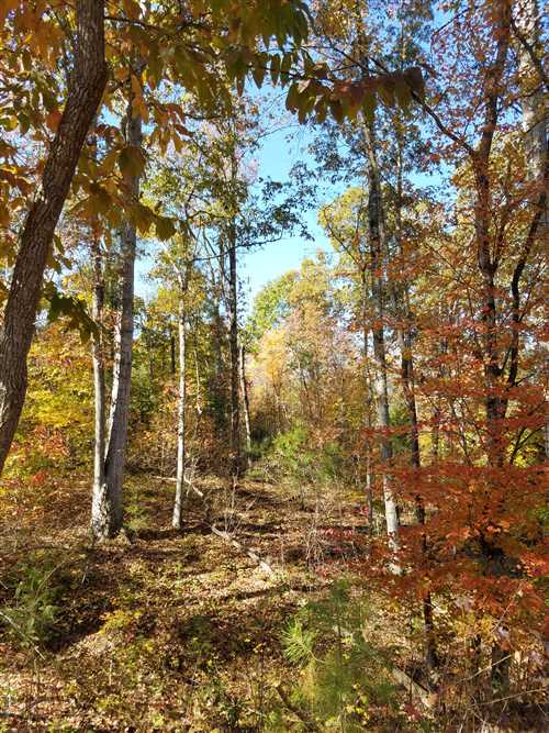 Property for sale at 00 Walker Road