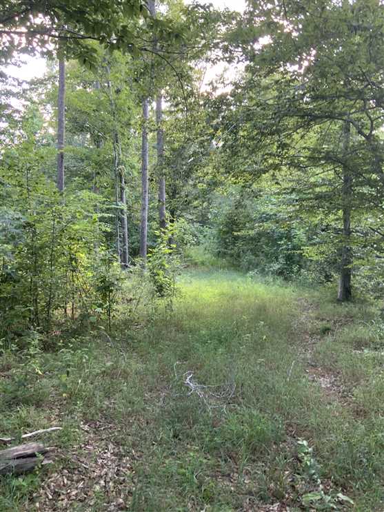 hickman County, Tennessee property for sale