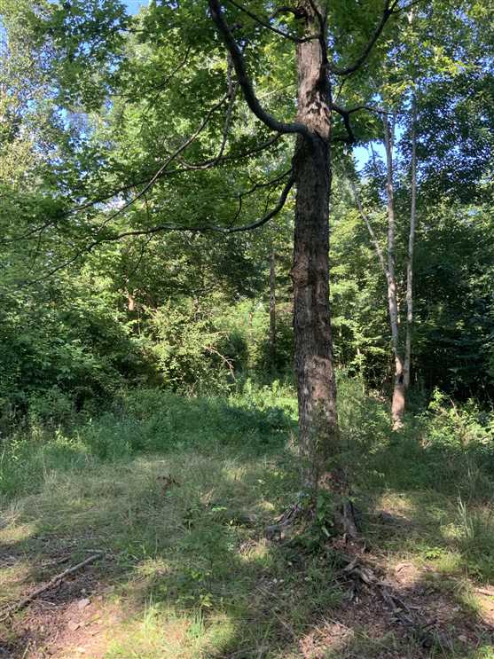 Houses and land for sale in Tennessee