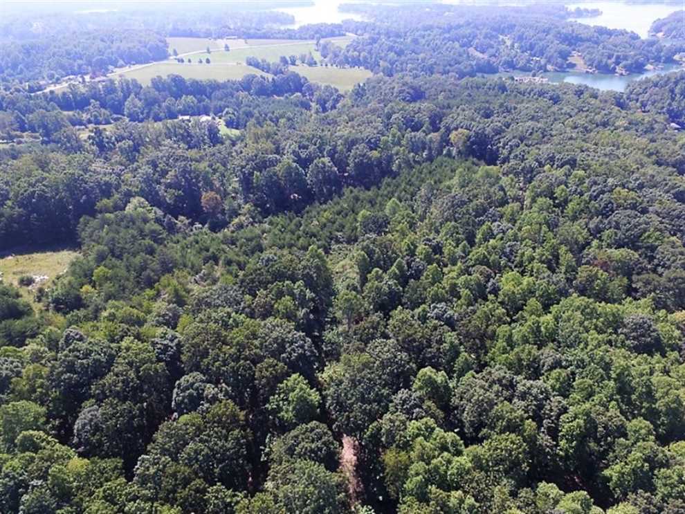 REDUCED!! 35.57 Acres of Recreational and Hunting Land For Sale in Bedford County VA! Real estate listing