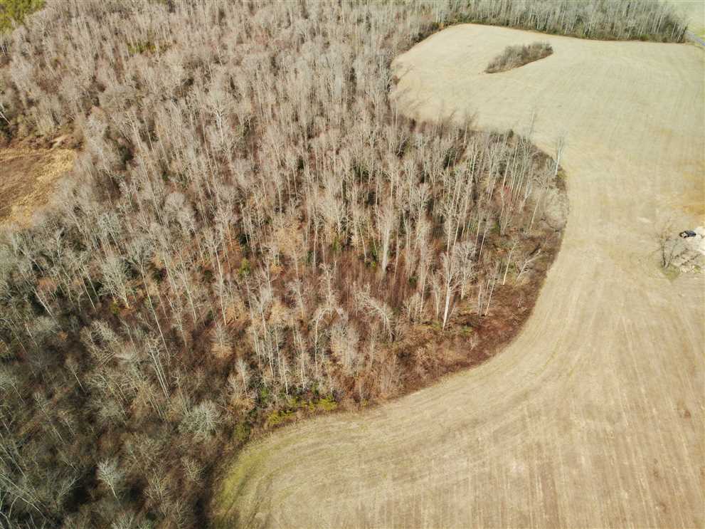 75+/- Acres in Hamptonville, Yadkin County Real estate listing