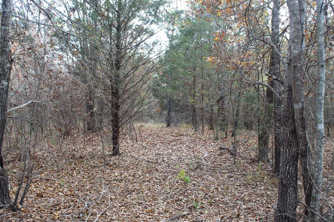 Land for sale to buy in 74557 zip code
