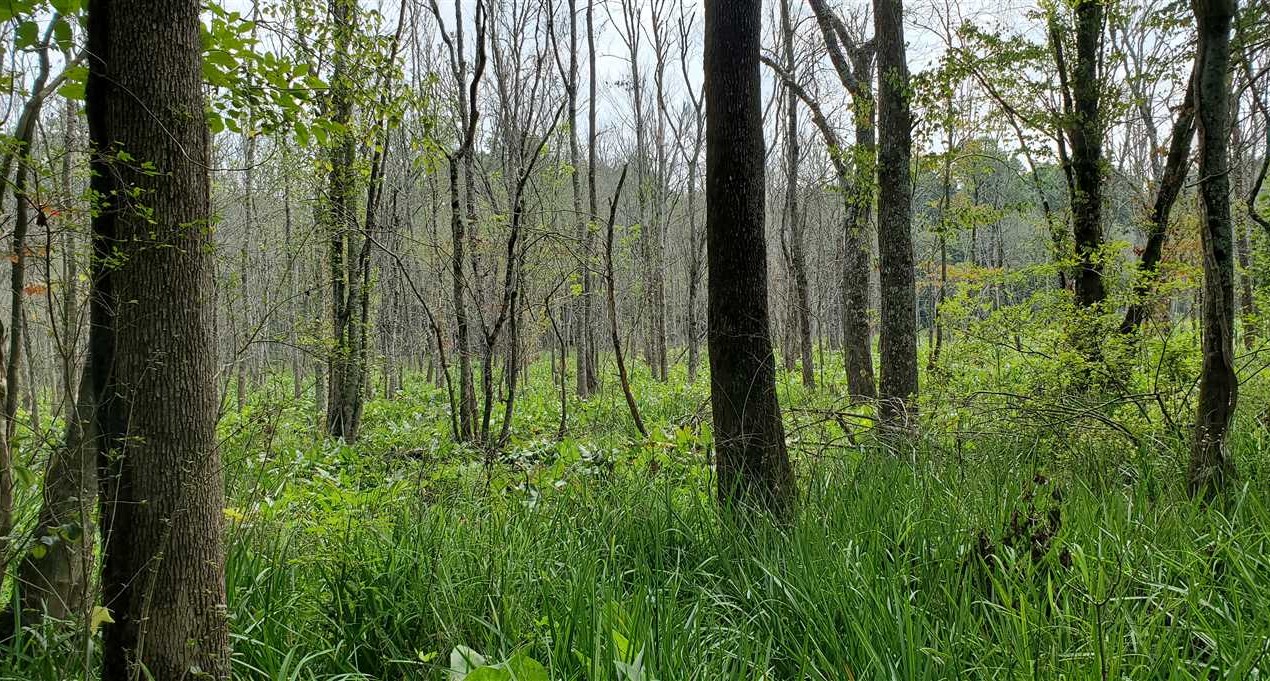 property for sale on The Land Market