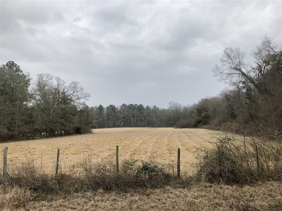 emanuel County, Georgia property for sale