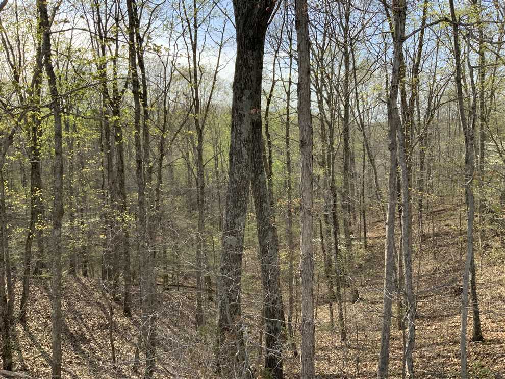 Land for sale to buy in 37185 zip code