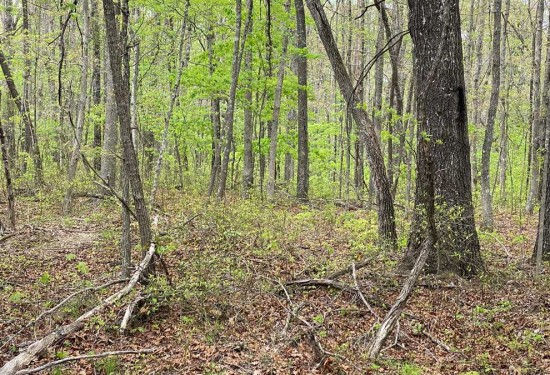 5 Acres of Land for Sale in grundy County Tennessee