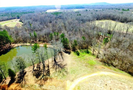 220 Acres of Land for Sale in fayette County Alabama