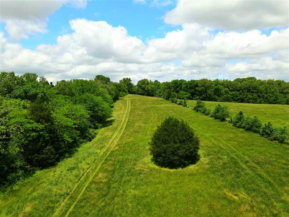 Convenient Nixa Acreage! Real estate listing