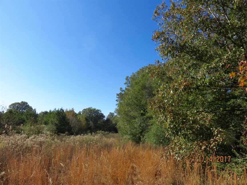 Timberland real estate available to buy