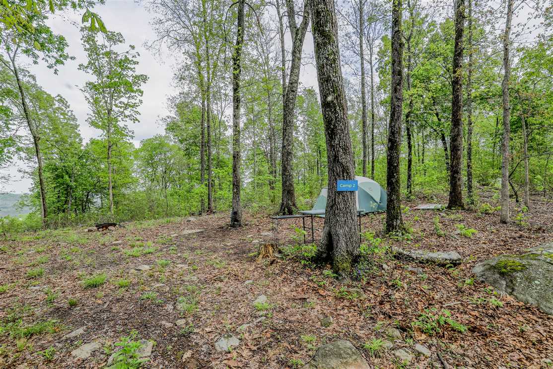 204.4 Acres of Land for sale in iron County, Missouri