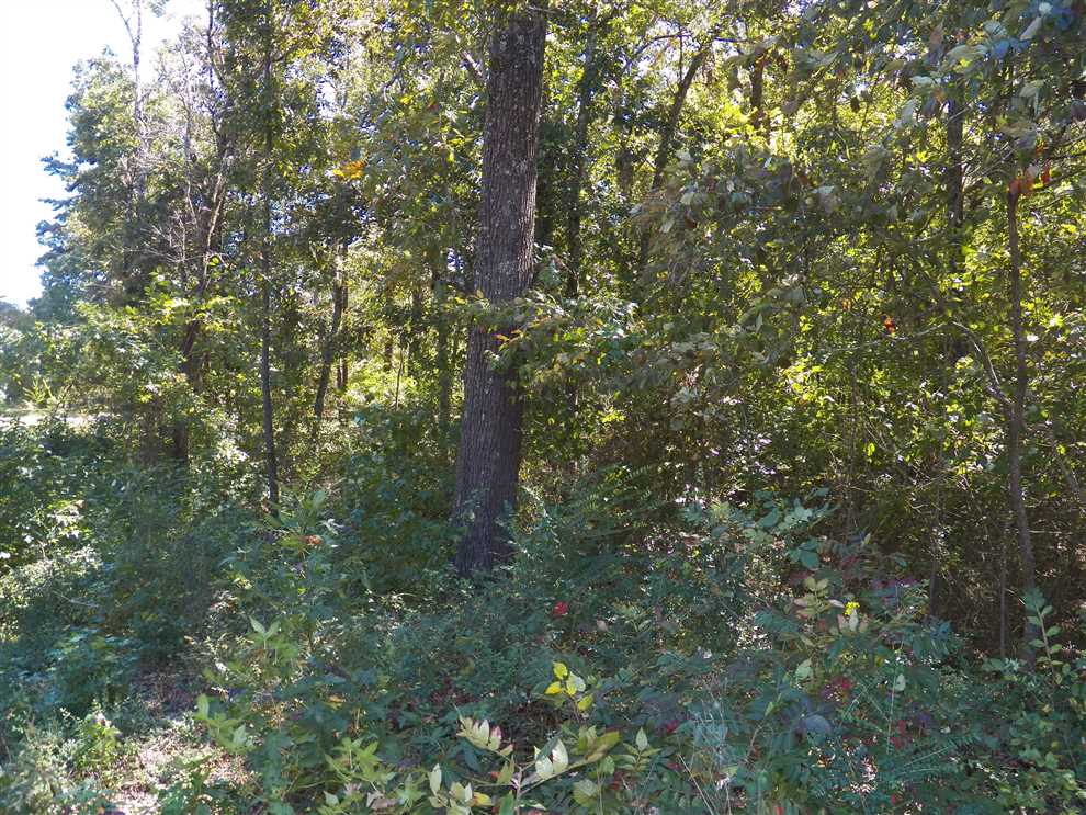 7.54 Acres of Residential land for sale in Choctaw, van buren County, Arkansas