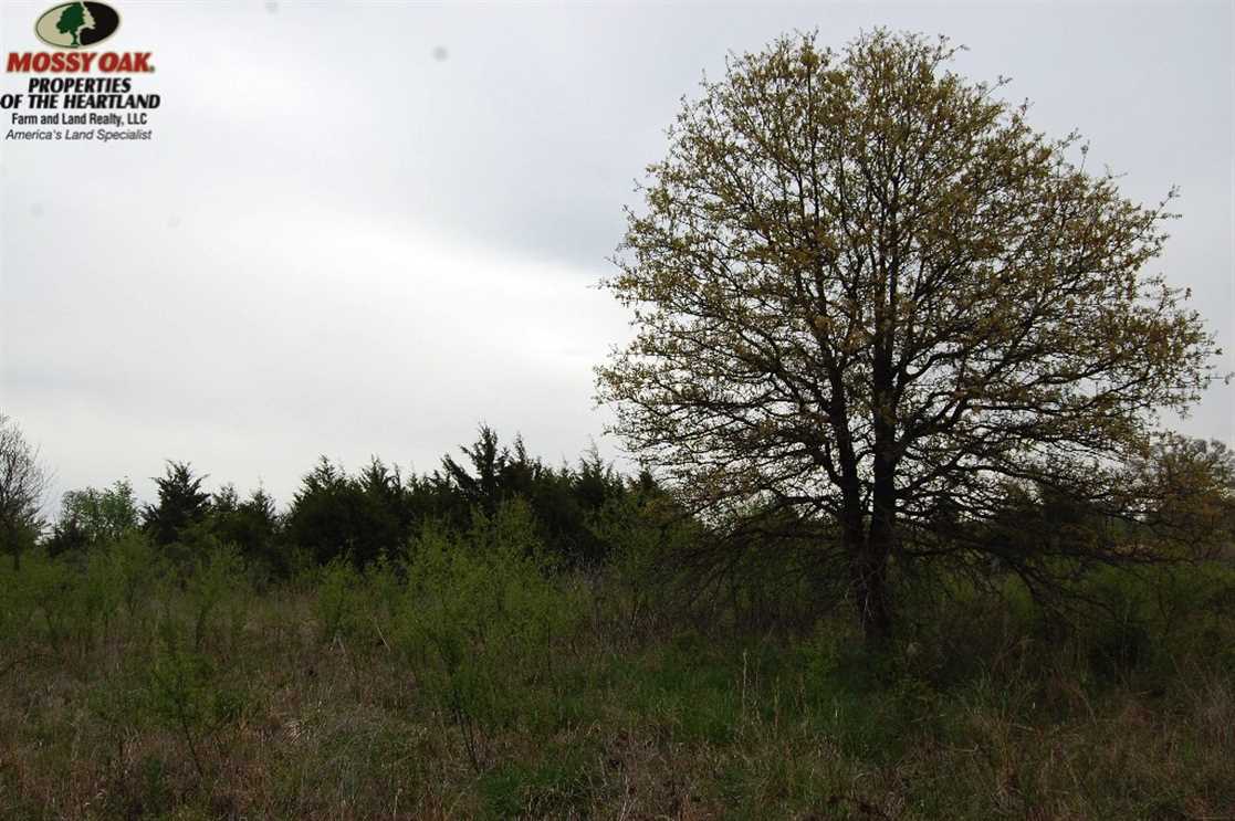 Land for sale at W 600 Road