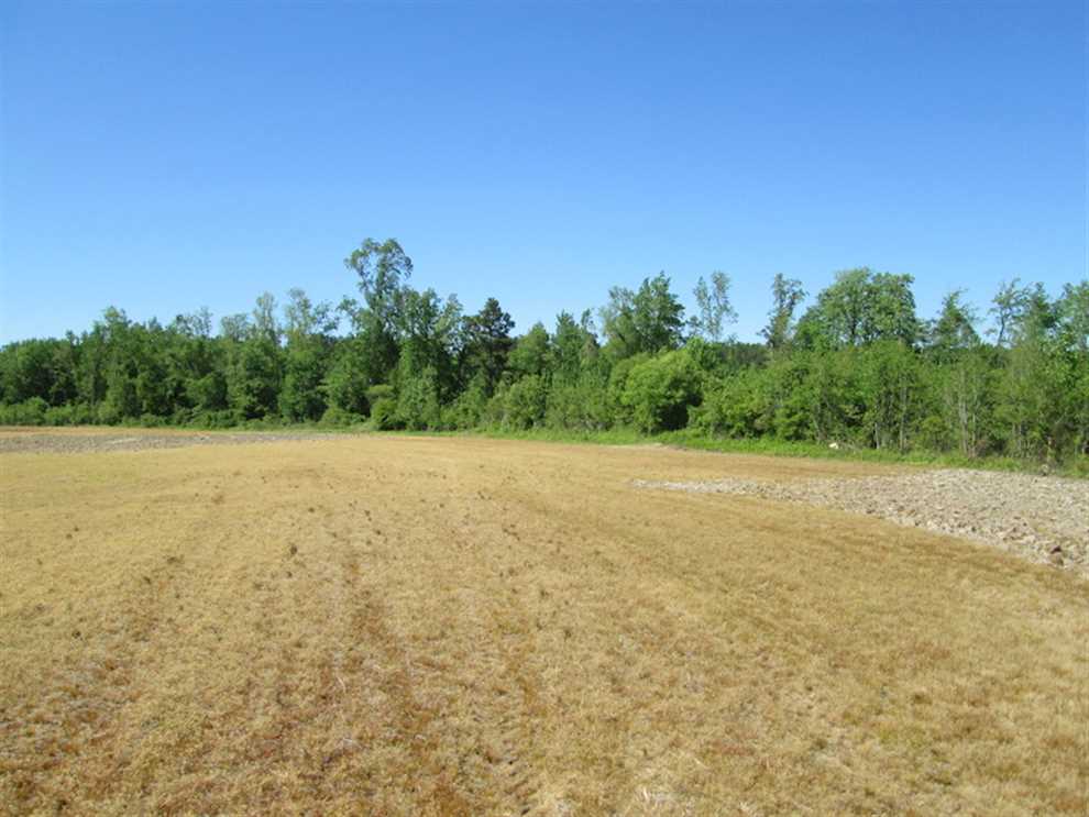 13 Acres of Land for sale in suffolk city County, Virginia