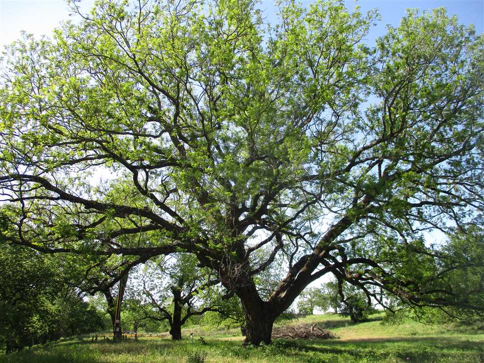 Houses and land for sale in Texas