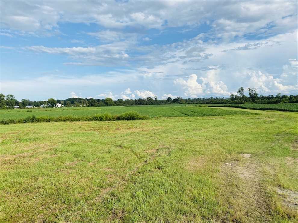 Farmland real estate available to buy