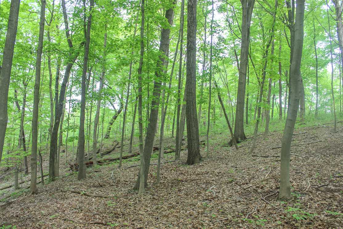 87.44 Acres of Land for sale in meigs County, Ohio