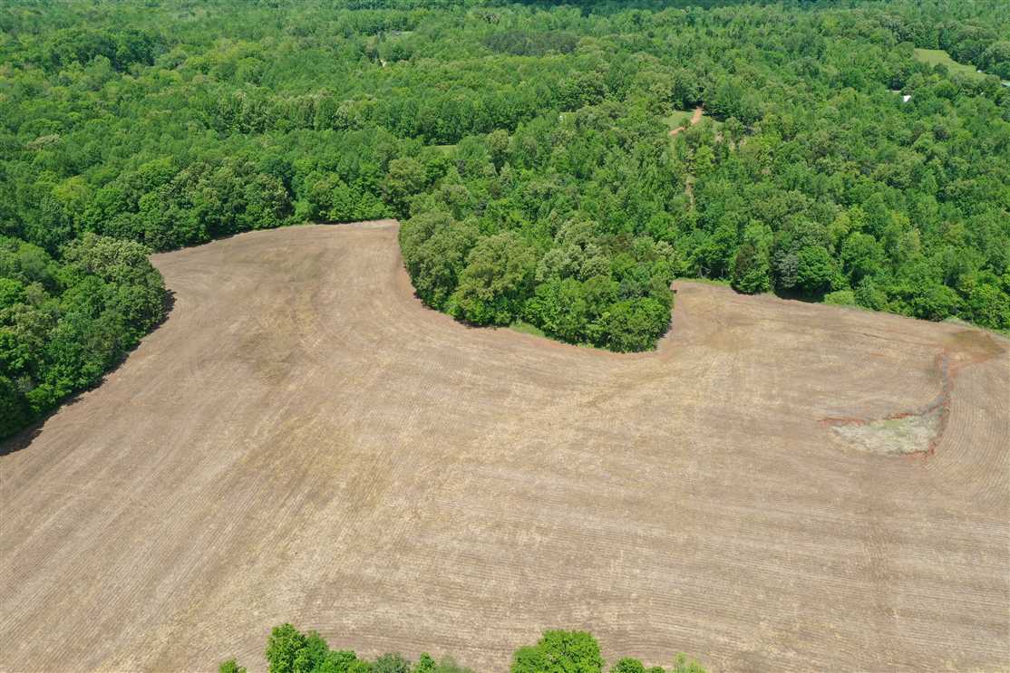70.4 Acres of Land for sale in henry County, Tennessee