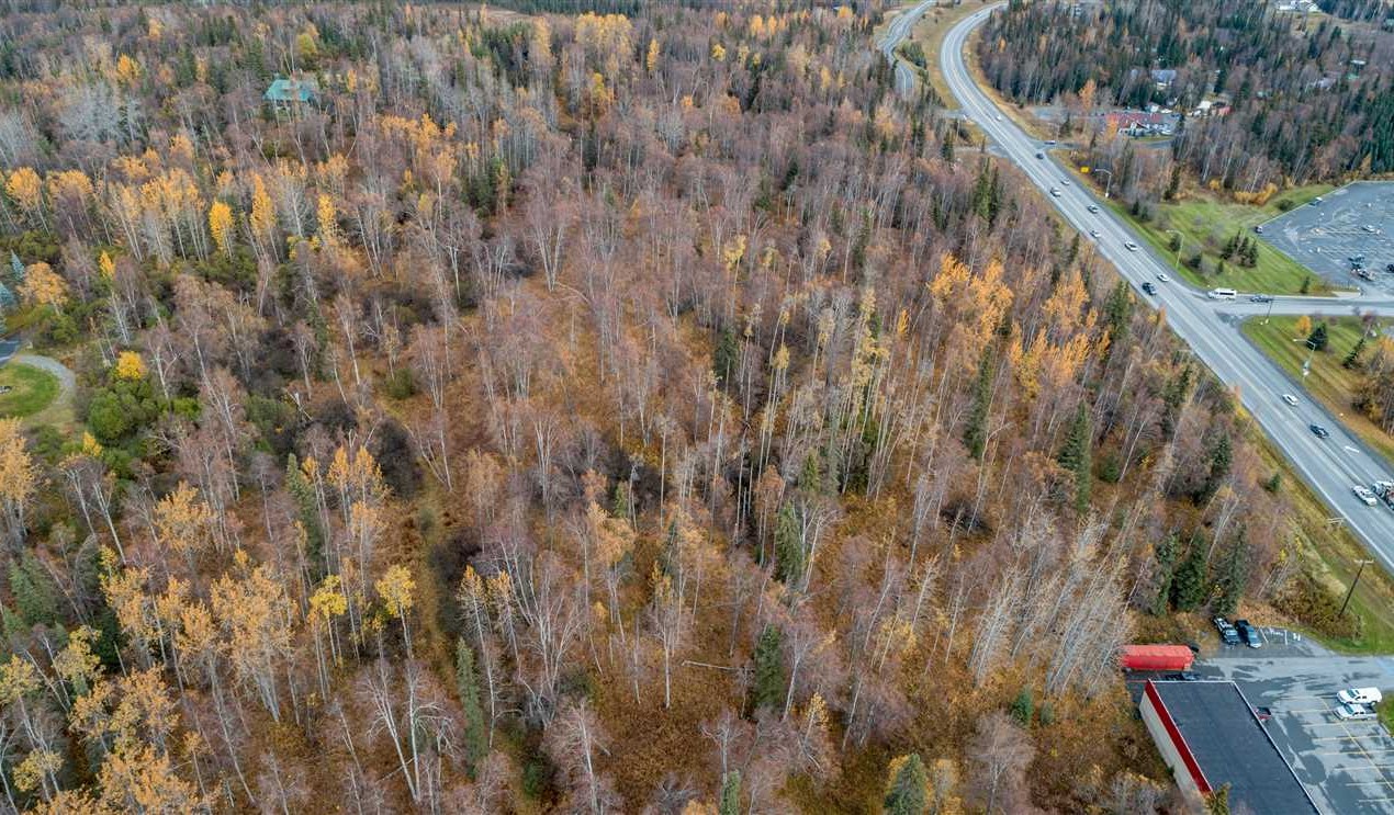 Commercial land real estate to buy in kenai peninsula County AK