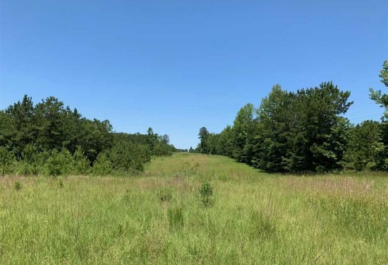 30 Acres of Land for Sale in jackson County Louisiana