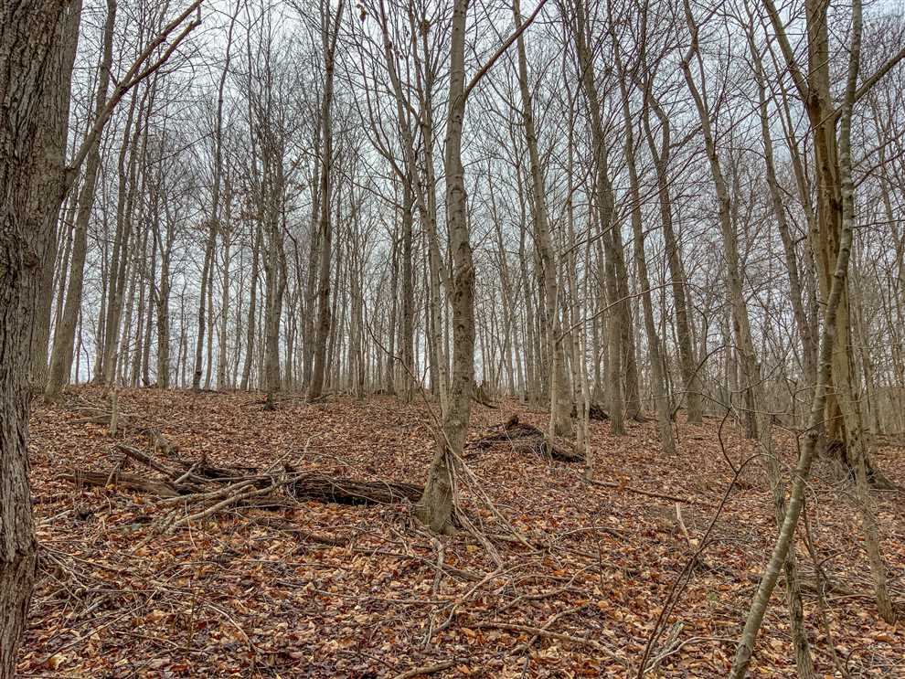 35.11 Acres of Recreational land for sale in PEEBLES, pike County, Ohio