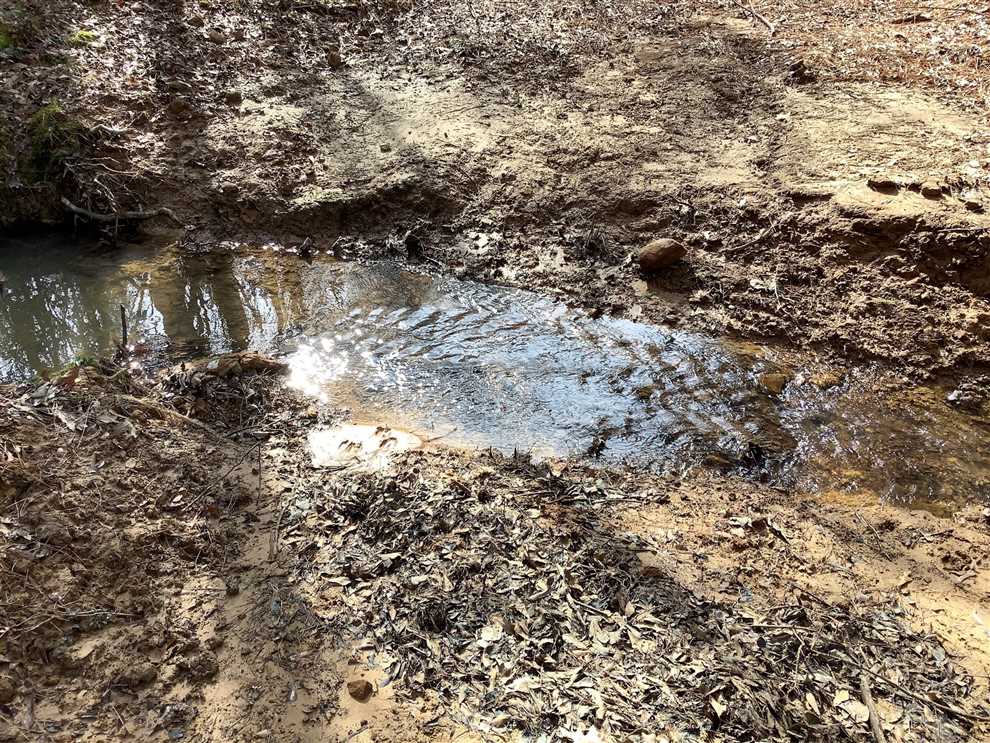 131 Acres of Land for sale in webster County, Louisiana