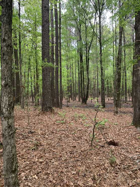 Land for sale at