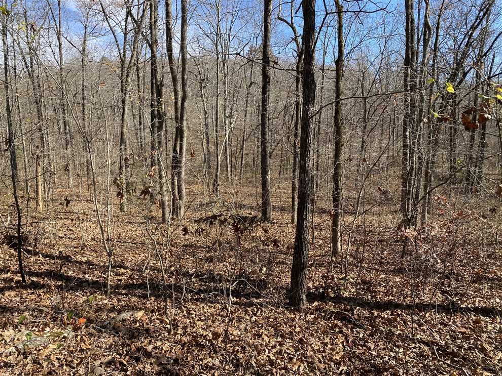 Clinton 60 Real estate listing