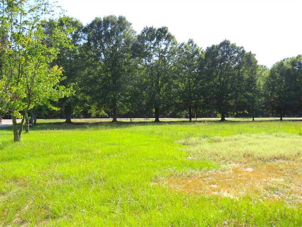 Land for sale at Highway 74