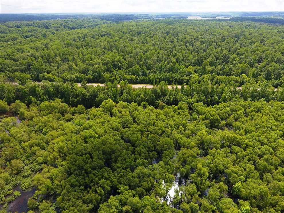 360 Acres of Land for sale in henderson County, Tennessee