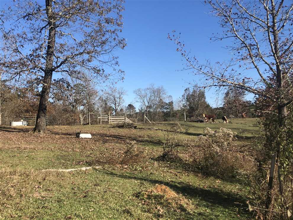 8 Acres of Land for sale in leake County, Mississippi