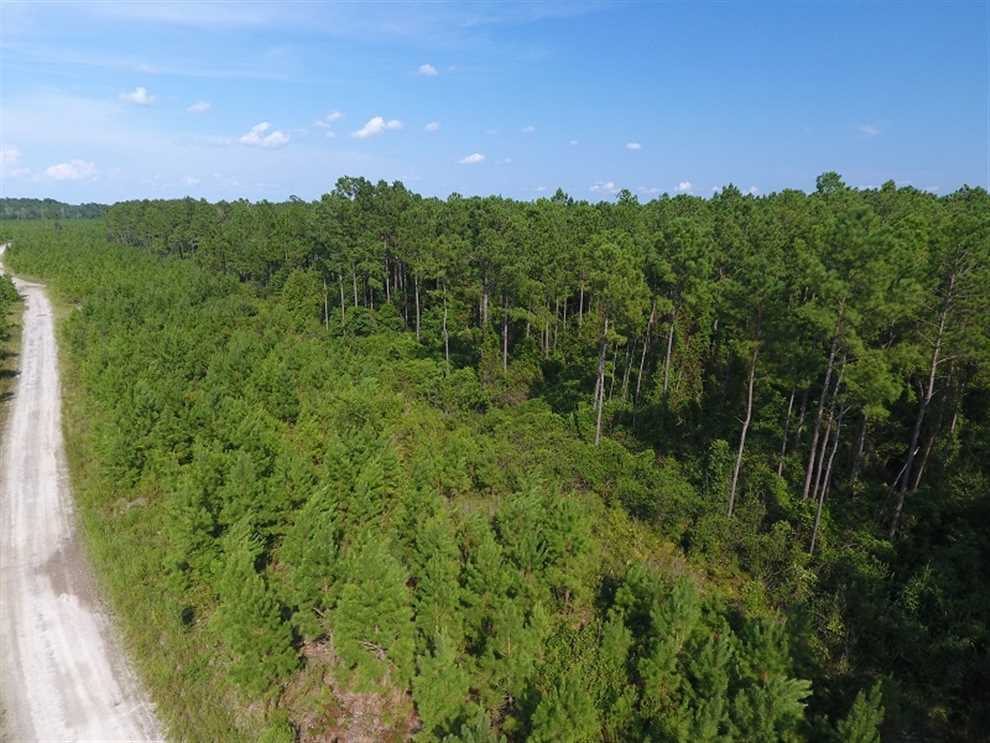 233 Acres of Residential land for sale in Clarkton, bladen County, North Carolina