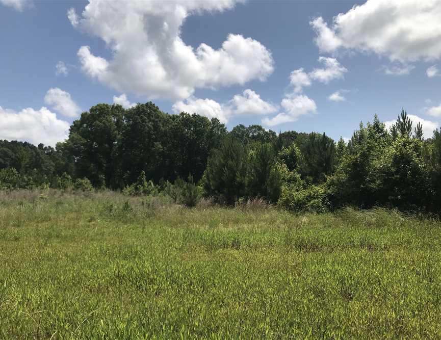 sumter County, Alabama property for sale