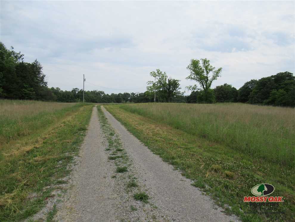 112 Acres of rolling land with open fields Real estate listing