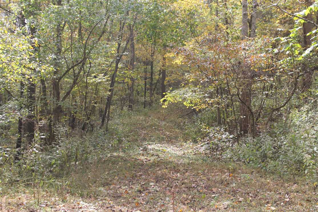 140 Acres of Land for sale in jackson County, Tennessee
