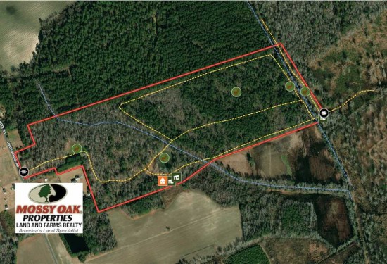 78.34 Acres of Land for Sale in florence County South Carolina