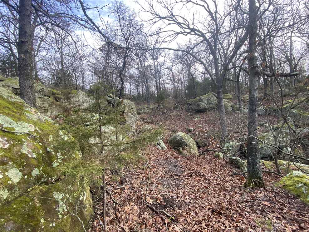 Land for sale at 00000 Cr 4600