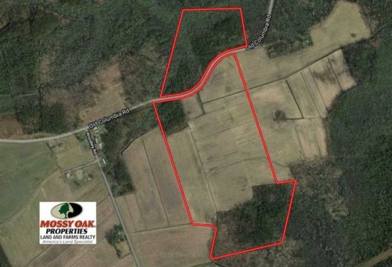 97 Acres of Land for Sale in tyrrell County North Carolina