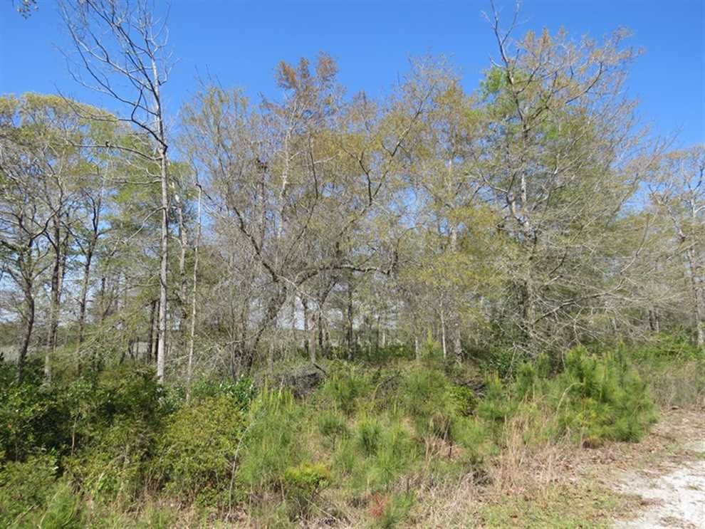 0.46 Acres of Land for sale in brunswick County, North Carolina
