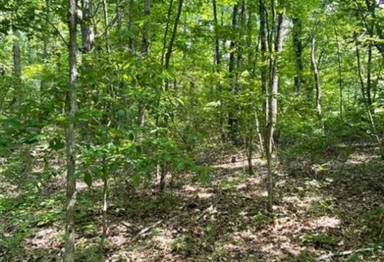 5.04 Acres of Land for Sale in grundy County Tennessee