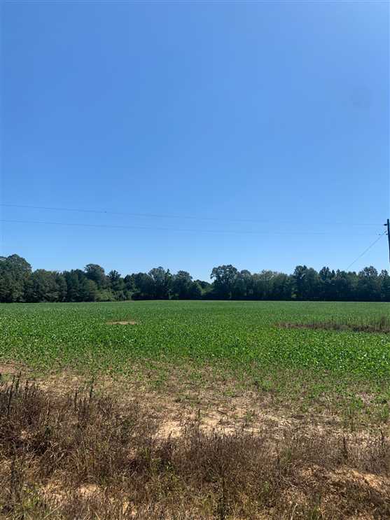 itawamba County, Mississippi property for sale