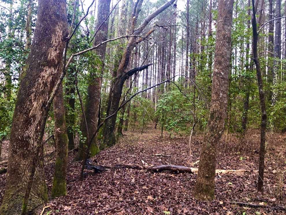 property for sale on The Land Market
