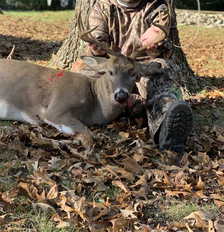 112 Acres of Recreational land for sale in Mammoth Spring, fulton County, Arkansas