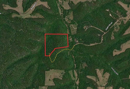 44.04 Acres of Land for Sale in carroll County Arkansas