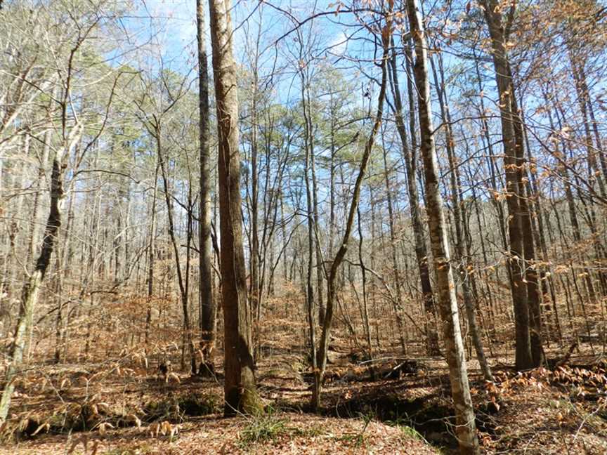 winston County, Alabama property for sale