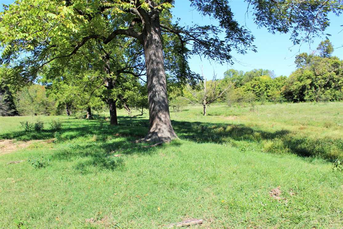 Kings River 270 Real estate listing
