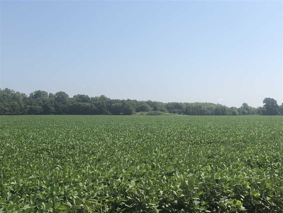 420 Acres of Recreational land for sale in Newport, jackson County, Arkansas